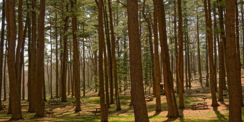 从奢华真皮到科技超纤：皮革嘉泰解析汽车内饰皮革的演变与供应商新选择