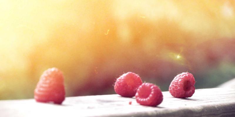 从羊皮到PU革:解码皮革材料新趋势与可持续未来