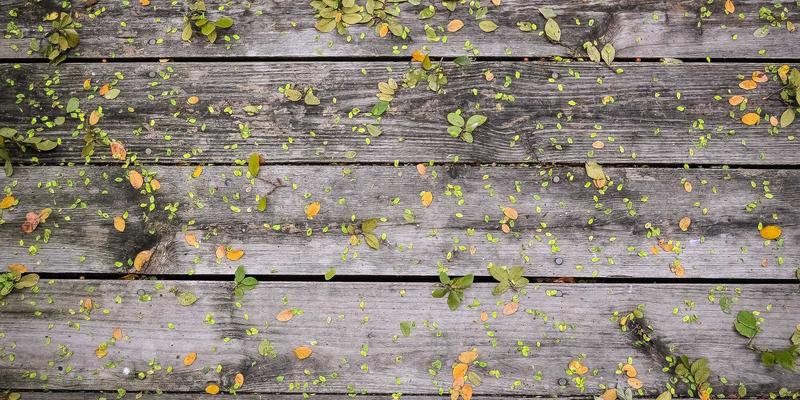 从羊皮到精品:深度解析皮革供应商如何塑造高端皮革制品的品质密码