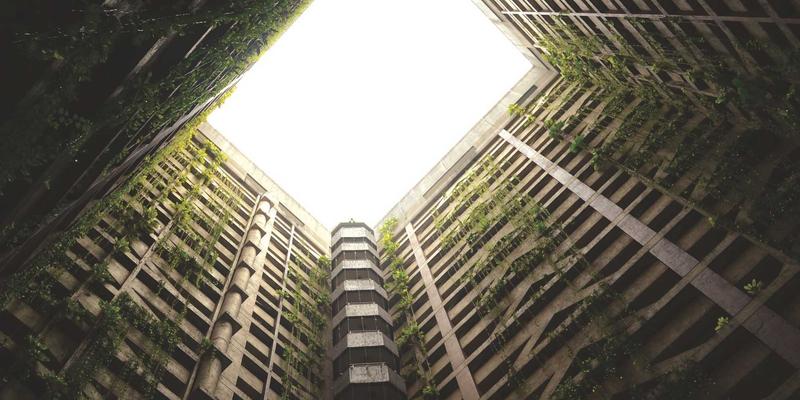 可持续时尚下的皮革：追踪从牧场到成品的皮革可追溯性体系