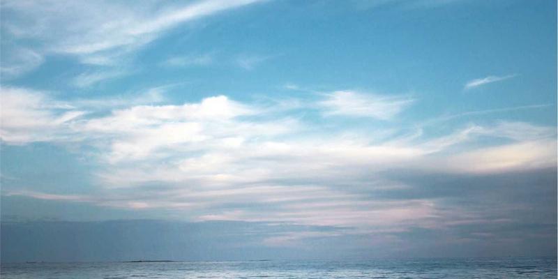 复古皮革风格养成指南：从优质皮革供应商选择到羊皮旧化艺术