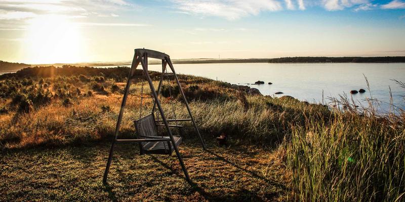 牛皮与PU皮革之外的选择：深度解析蘑菇皮革、菠萝皮革与再生皮革的市场前景