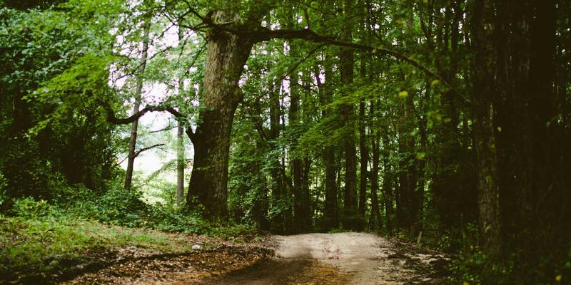 牛皮染色工艺全解析：从苯胺染到颜料染，如何为皮革制品选择最佳供应商