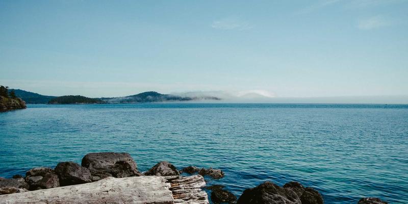 牛皮革鞣制技术全解析：从铬鞣、植鞣到醛鞣的工艺差异与应用场景