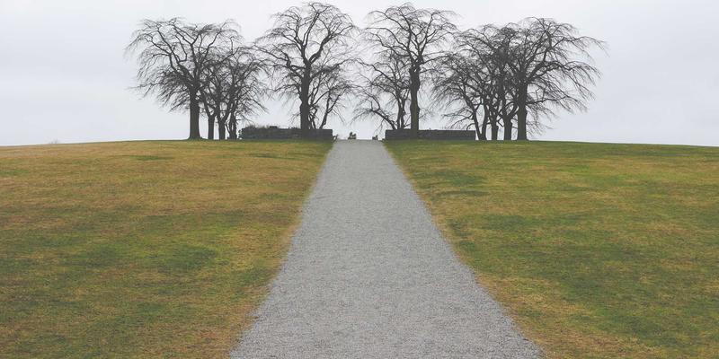 皮革嘉泰：定制皮具的时光艺术，如何通过日常使用与护理让植鞣革呈现迷人印记