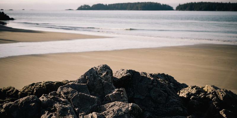 皮革材料26:从优质供应商到定制皮具的完整指南