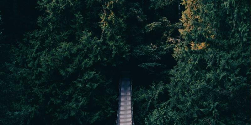 皮革材料28与皮革嘉泰：如何选择优质羊皮供应商的完整指南
