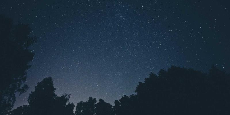 皮革材料65：探索羊皮与PU皮革的工艺奥秘与选择智慧