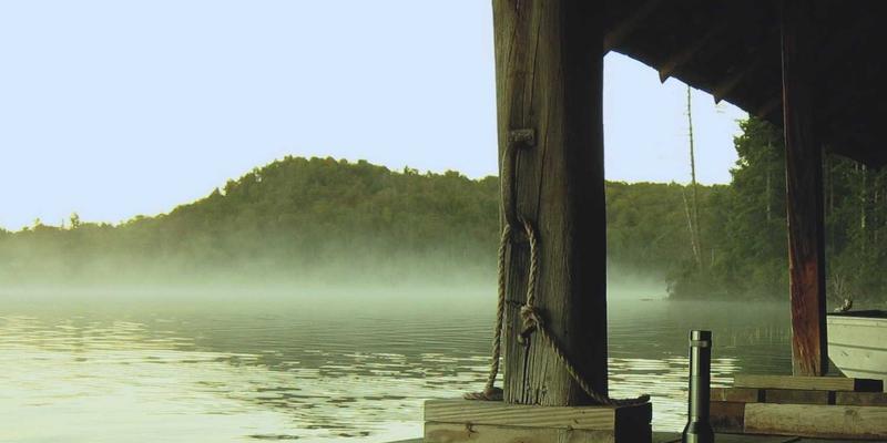 皮革材料全解析：从牛皮到鳄鱼皮，掌握珍稀皮革的鉴别与保养秘诀