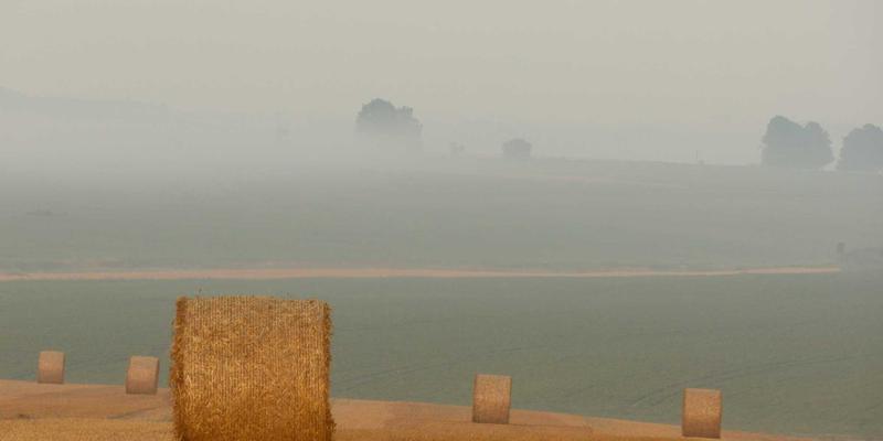 皮革材料全解析：从牛皮纹理识别到高品质皮料选择指南