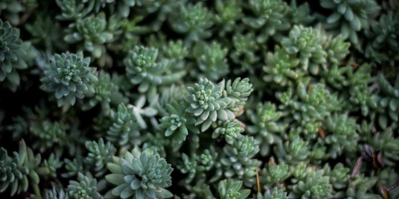 羊皮与牛皮的科学较量：深度解析皮革撕裂强度、耐磨度与透气性三大物理性能测试