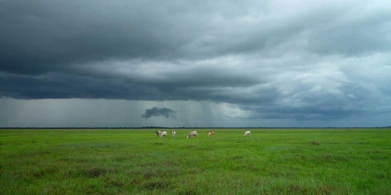 羊皮、皮革材料与PU皮革之外：探索马臀皮（Cordovan）的独特魅力与顶级工艺